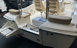 Scout 175 SF